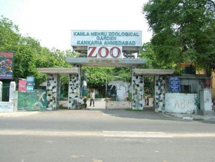 Kamala Nehru Zoological Park, Ahmedabad, Gujarat - Vushii.com Kamala Nehru Zoological Park, Ahmedabad, Gujarat - Vushii.com